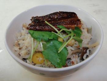 ファイル名: DSC00084.jpg
ファイルサイズ: 13.2KB うなぎの炊き込みご飯