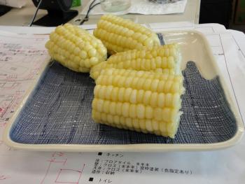 ファイル名: DSC01143.jpg
ファイルサイズ: 104.1KB
→クリックで元のサイズを表示 秋田 の とうもろこし